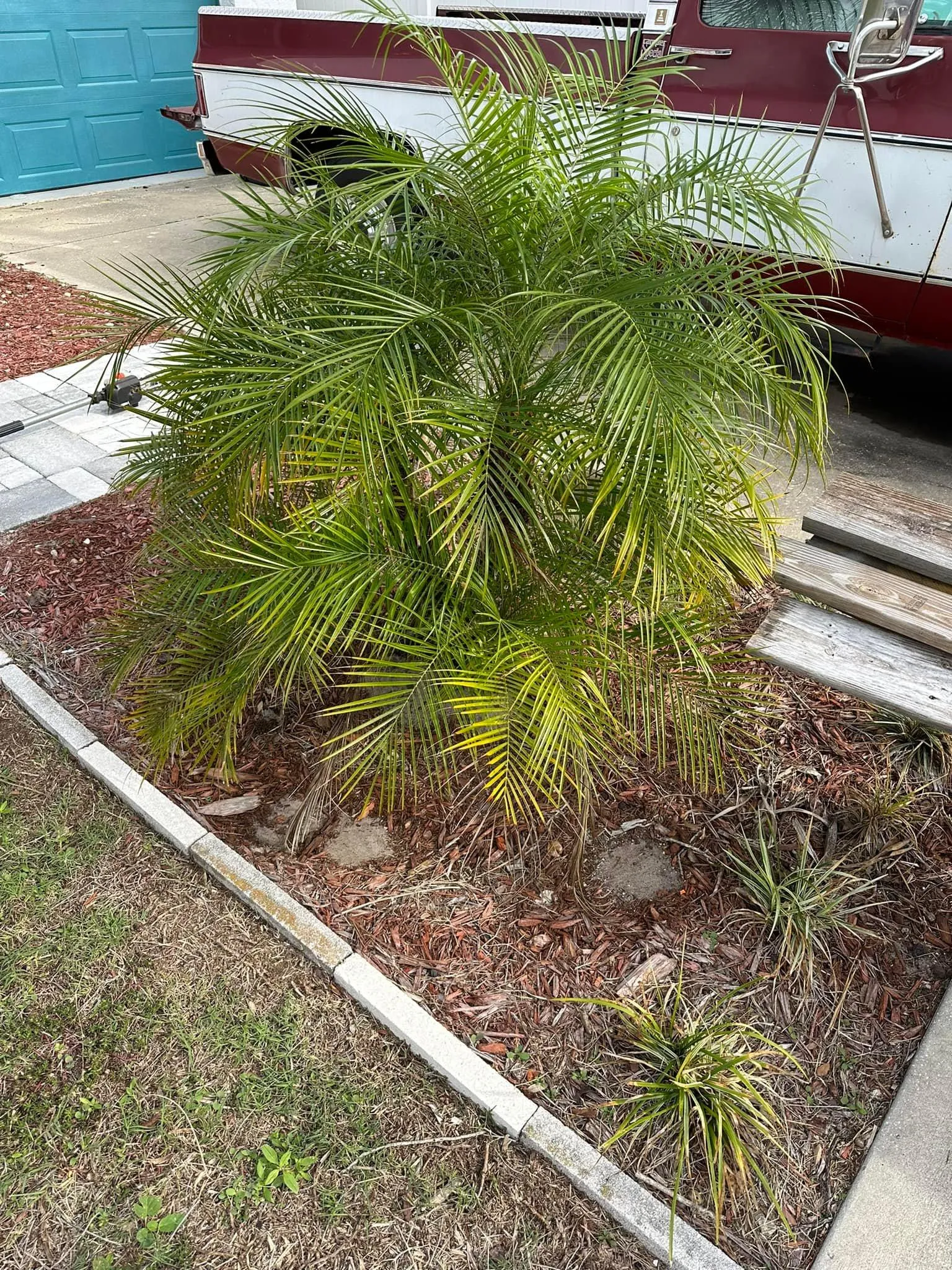 Fall and Spring Clean Up for Kramer & Son’s Property Maintenance in Hudson, FL