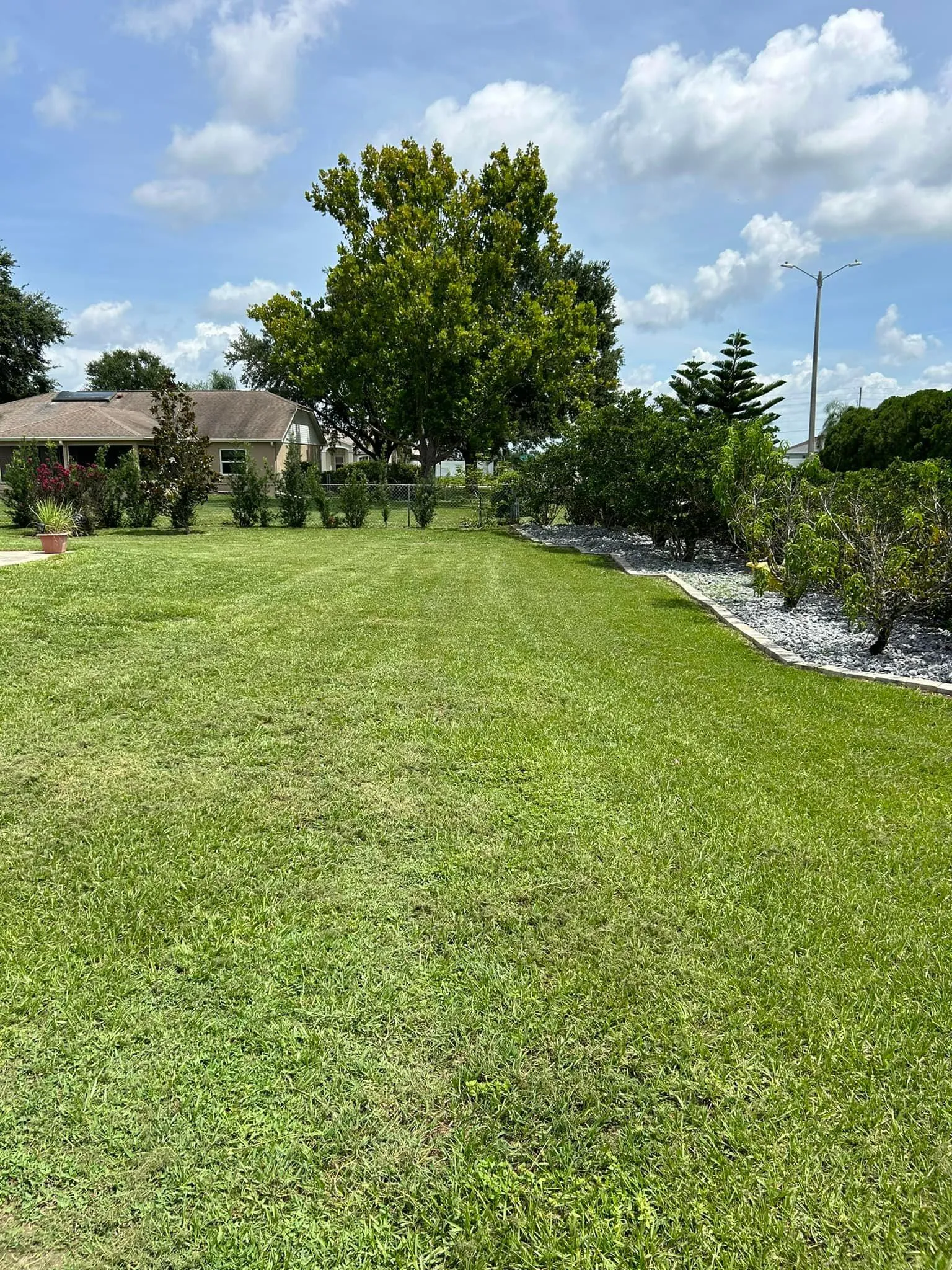 Fall and Spring Clean Up for Estrada All Pro Lawn Service in Auburndale, Florida