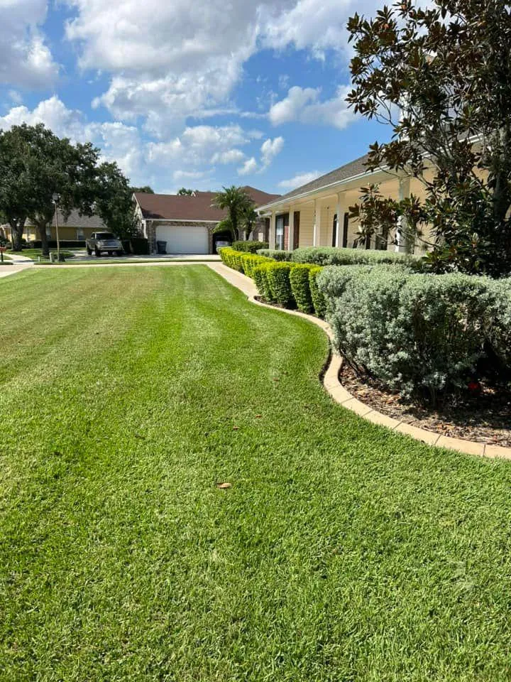 Fall and Spring Clean Up for Estrada All Pro Lawn Service in Auburndale, Florida