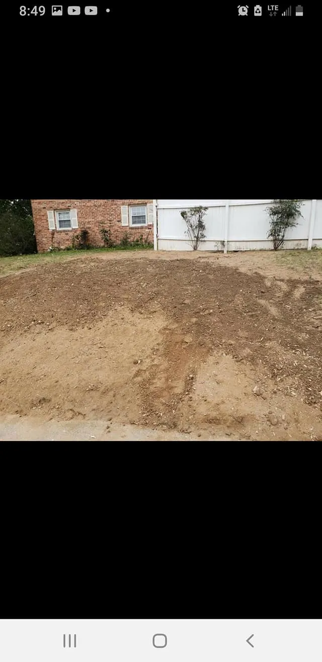Tree Removal for Mario's Tree Service in Richmond, VA