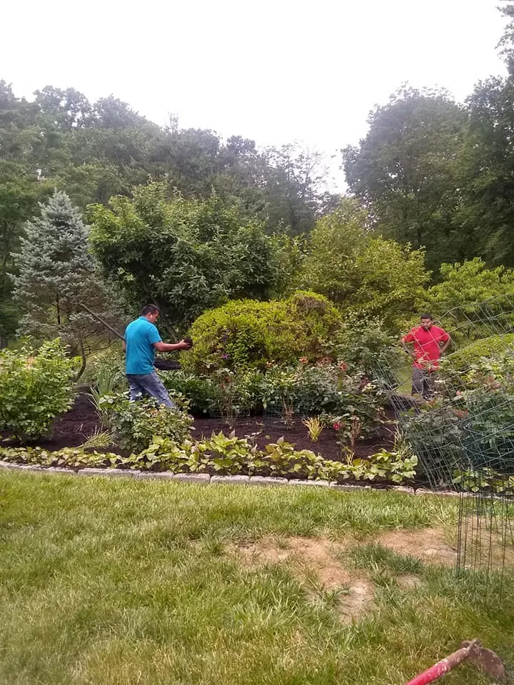 Tree Removal for Mario's Tree Service in Richmond, VA