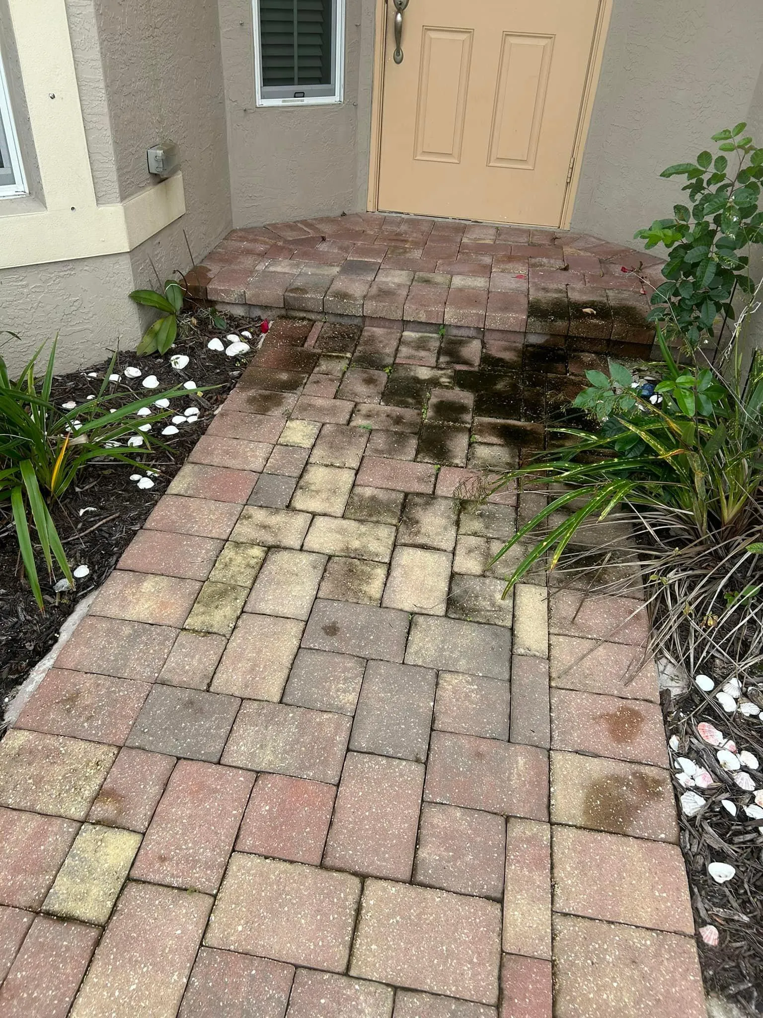 Home Softwash for C & C Pressure Washing in Port Saint Lucie, FL