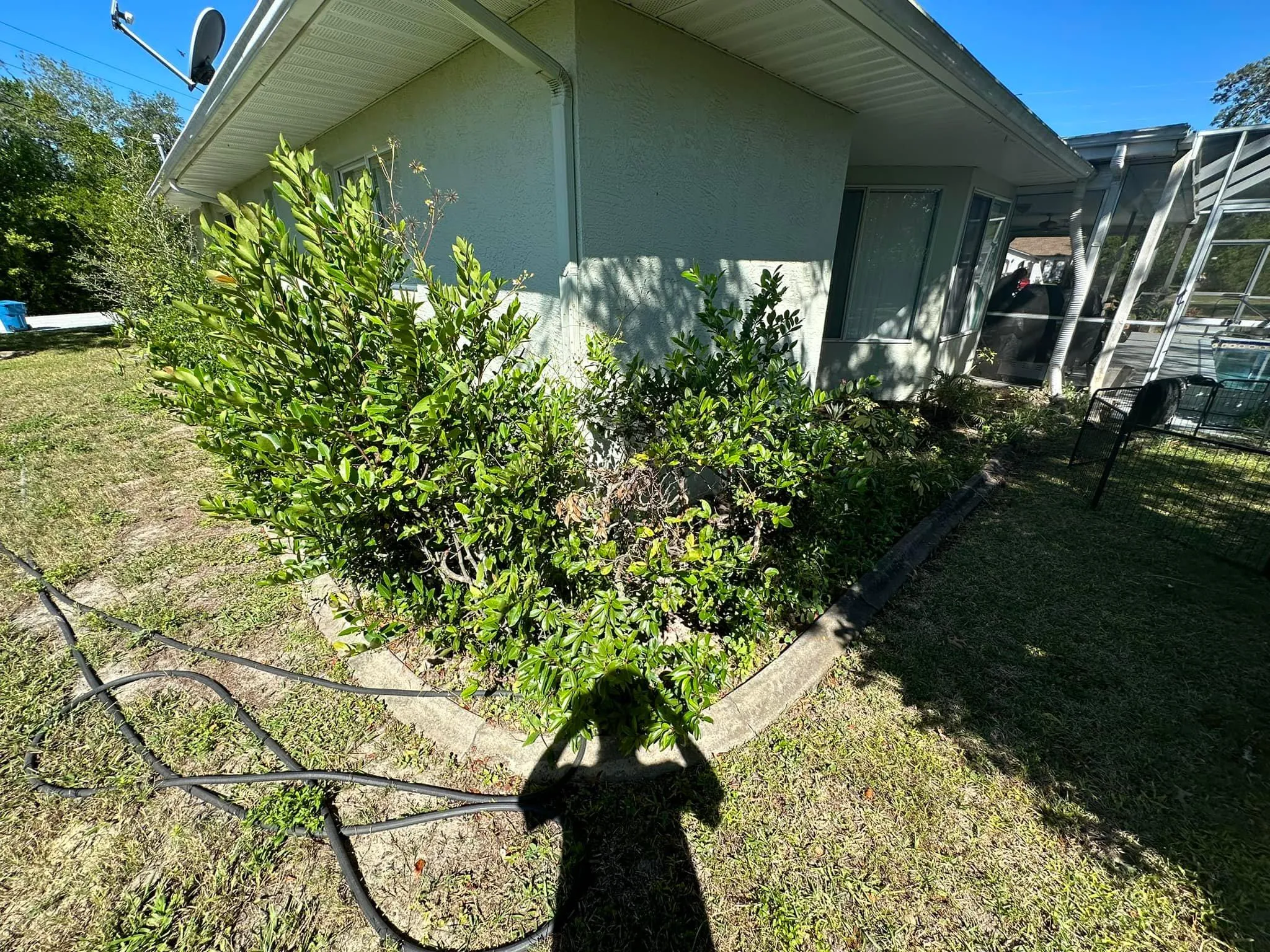 Fall and Spring Clean Up for Kramer & Son’s Property Maintenance in Hudson, FL