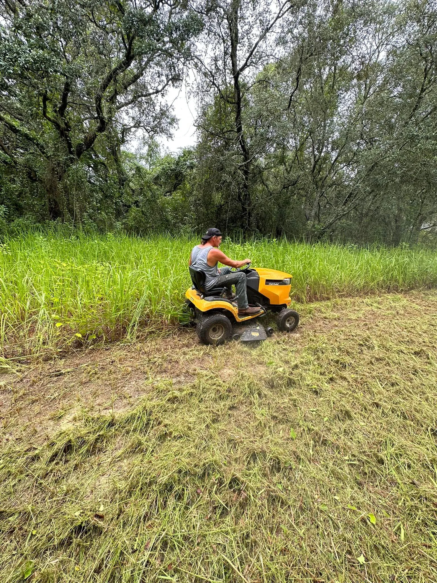 Fall and Spring Clean Up for Kramer & Son’s Property Maintenance in Hudson, FL