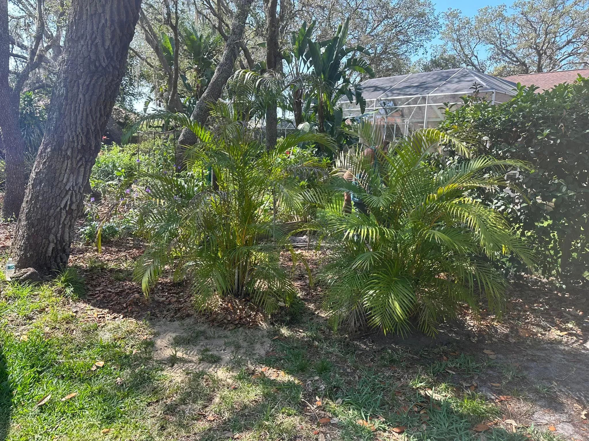 Fall and Spring Clean Up for Kramer & Son’s Property Maintenance in Hudson, FL