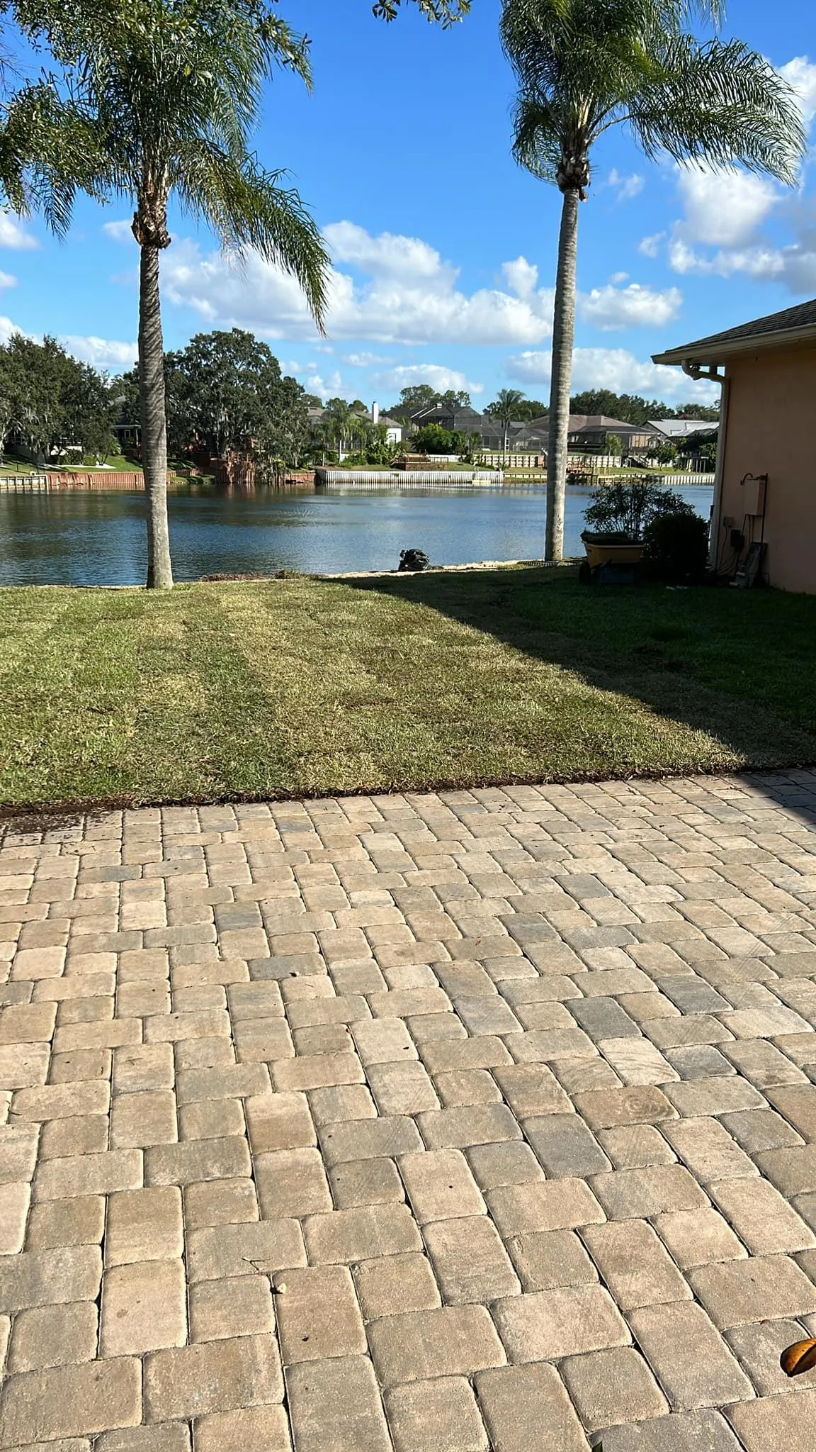 Fall and Spring Clean Up for Estrada All Pro Lawn Service in Auburndale, Florida