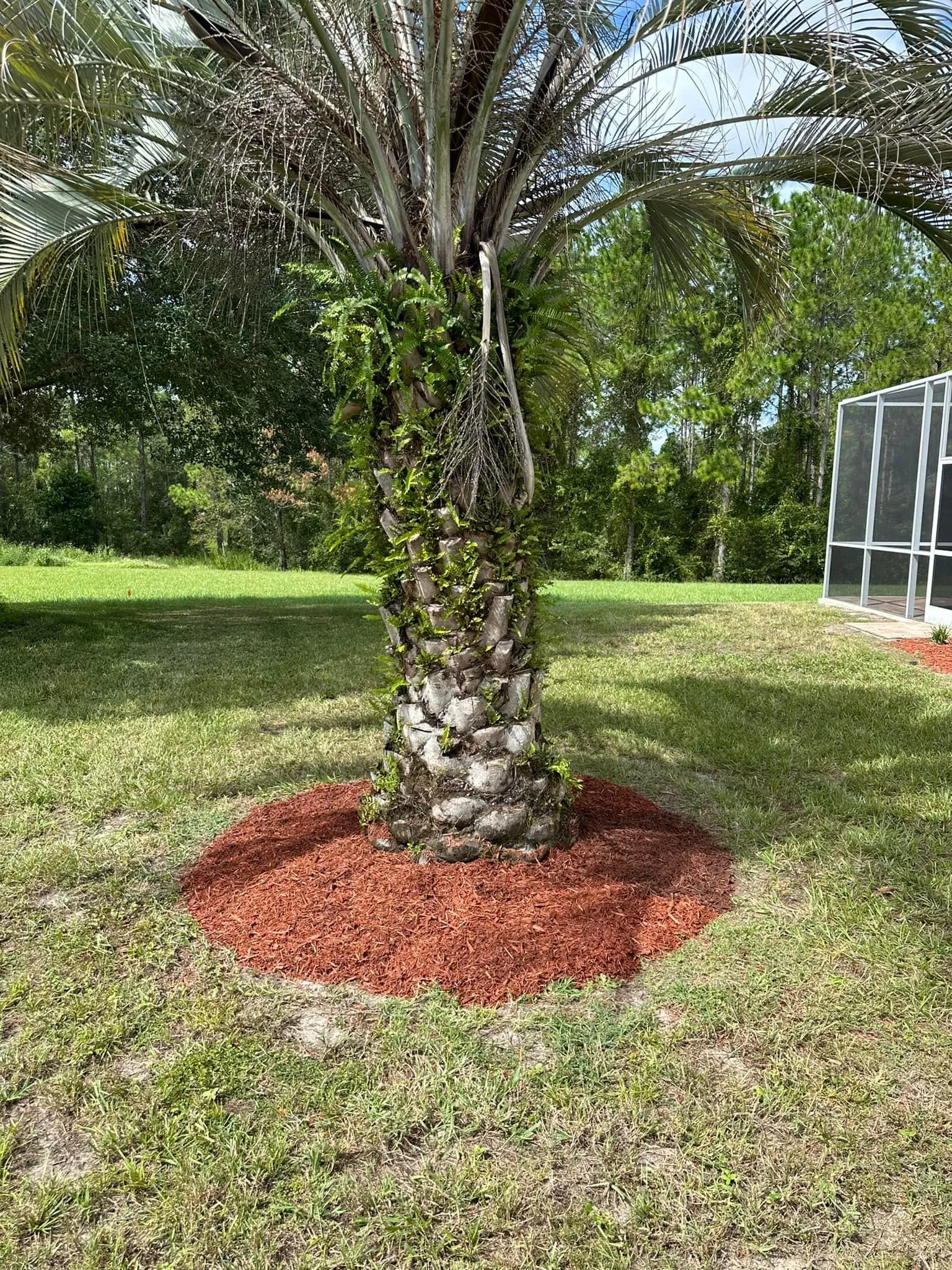 Fall and Spring Clean Up for Kramer & Son’s Property Maintenance in Hudson, FL