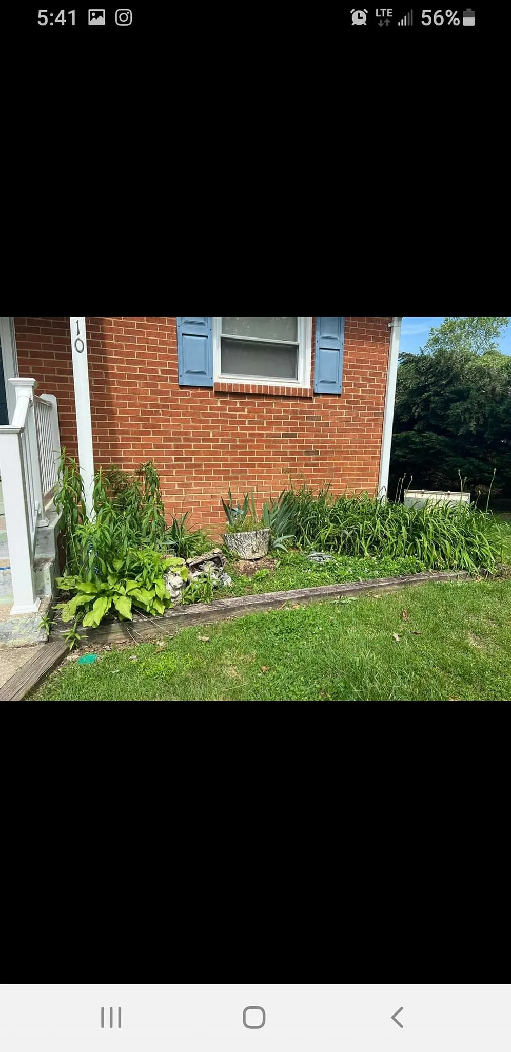 Tree Removal for Mario's Tree Service in Richmond, VA