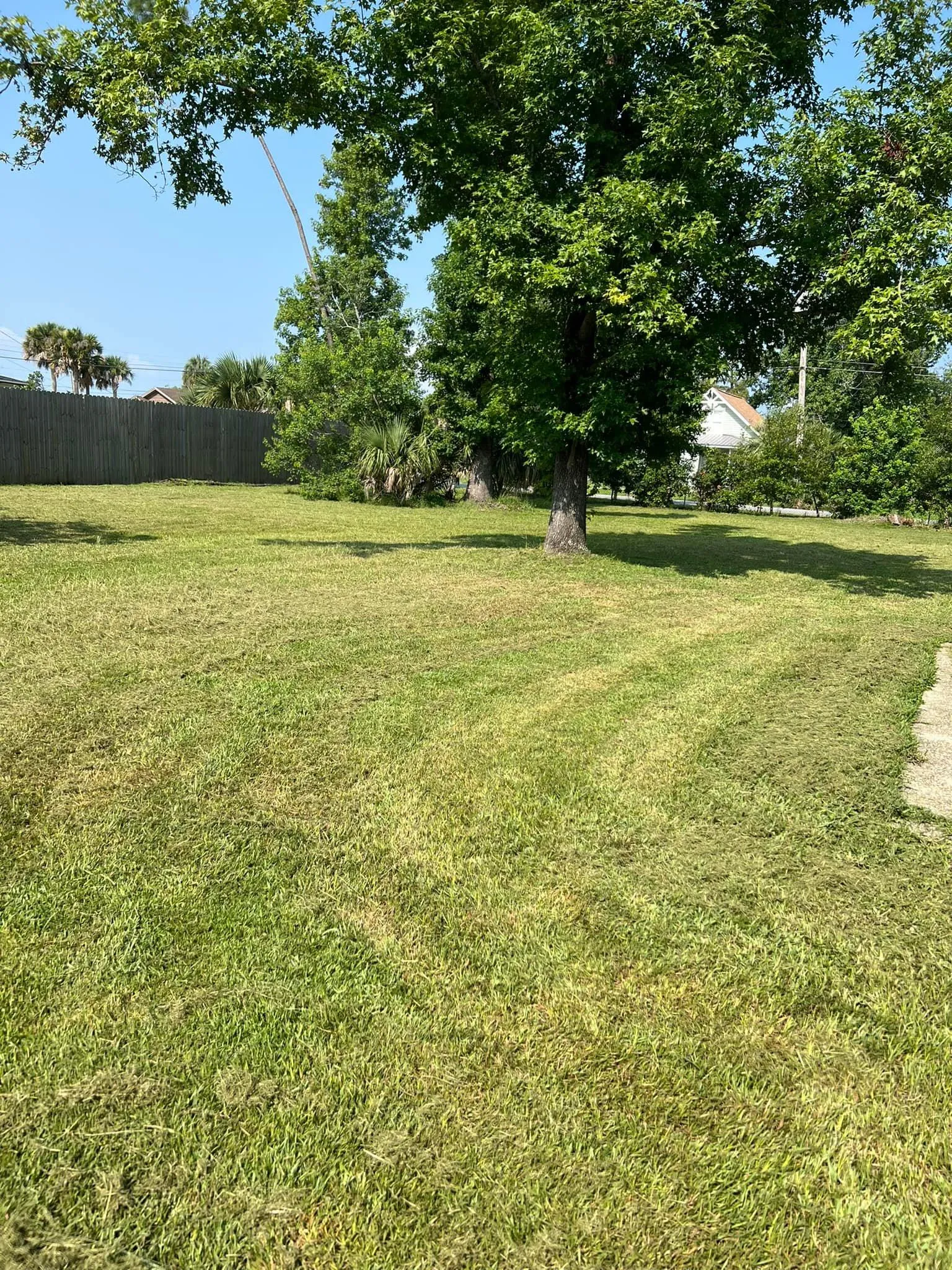 Mowing for Lawn Dog Mowing and Lawn Services in Panama City, FL