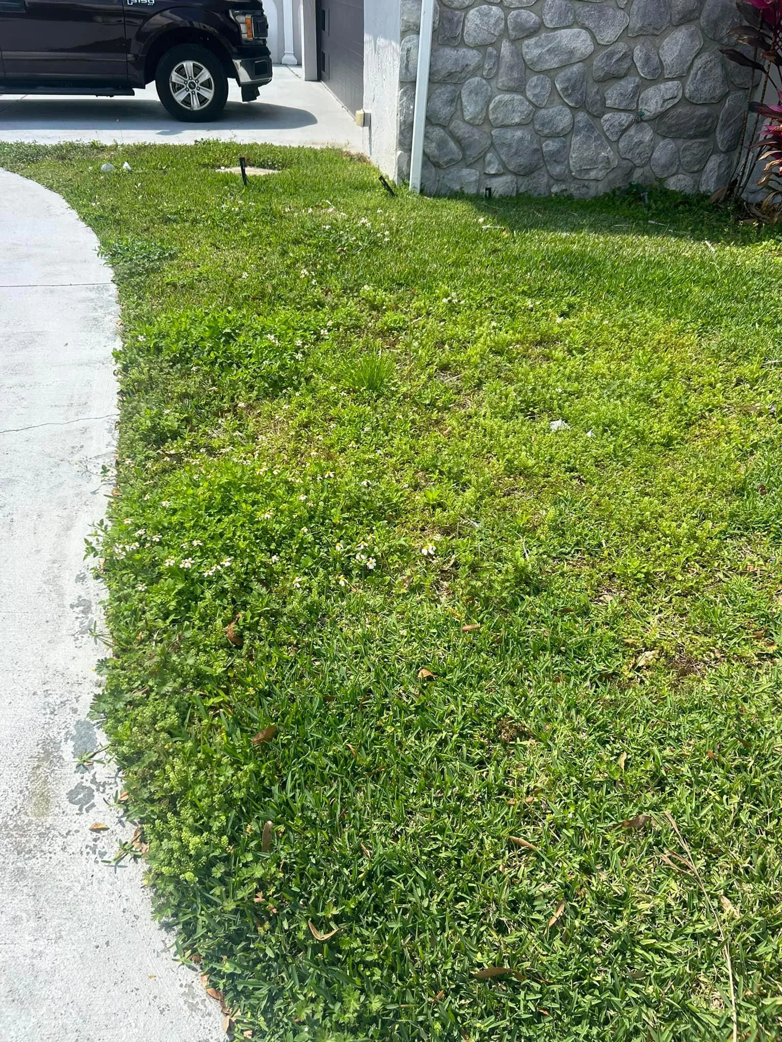 Fall and Spring Clean Up for Estrada All Pro Lawn Service in Auburndale, Florida