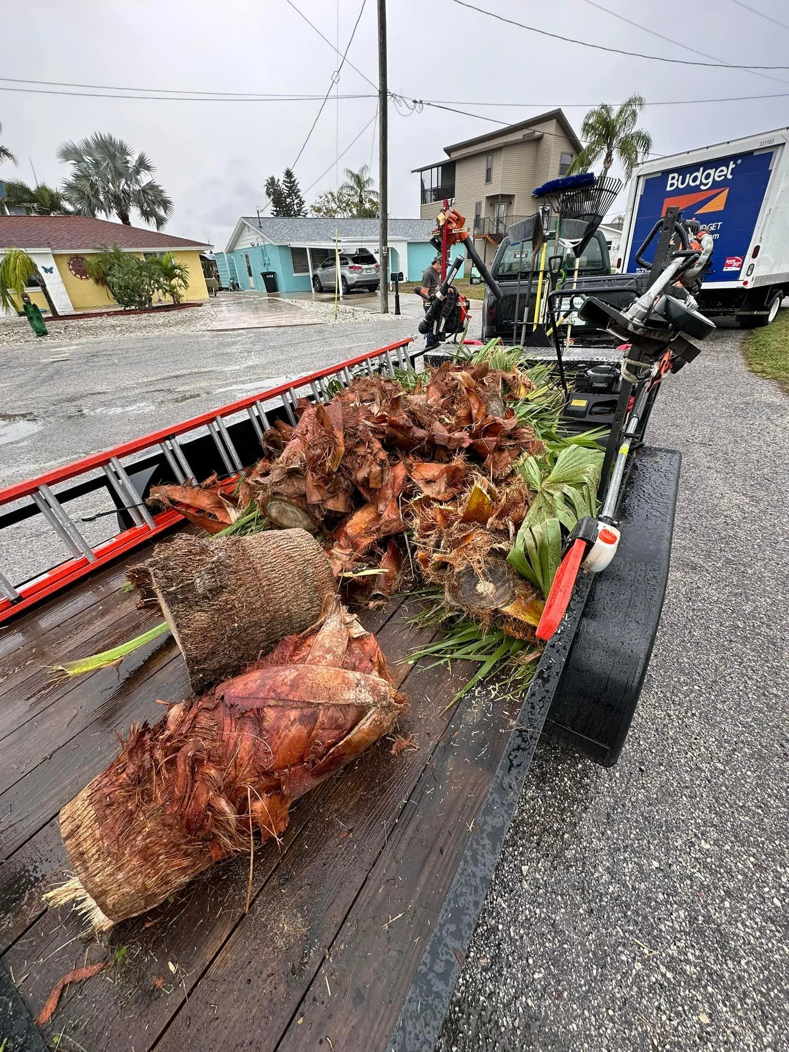 Fall and Spring Clean Up for Kramer & Son’s Property Maintenance in Hudson, FL