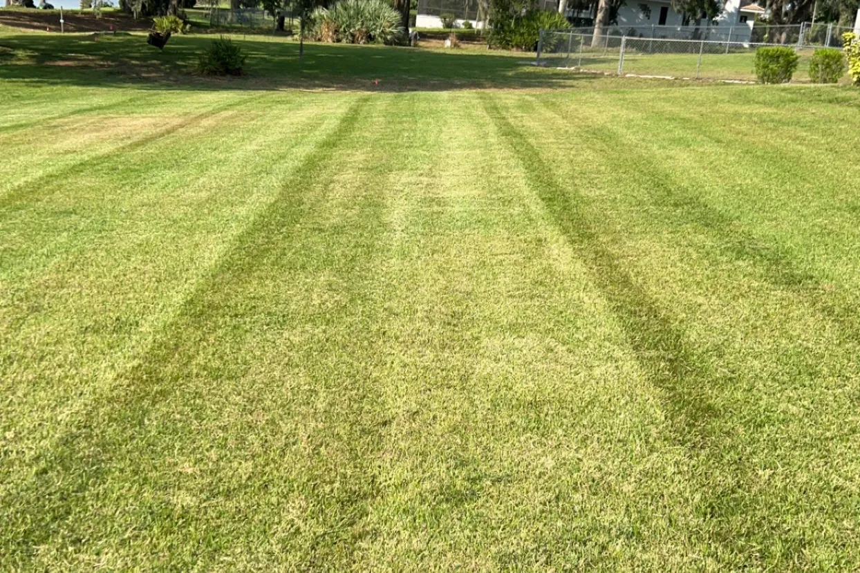 Fall and Spring Clean Up for Estrada All Pro Lawn Service in Auburndale, Florida