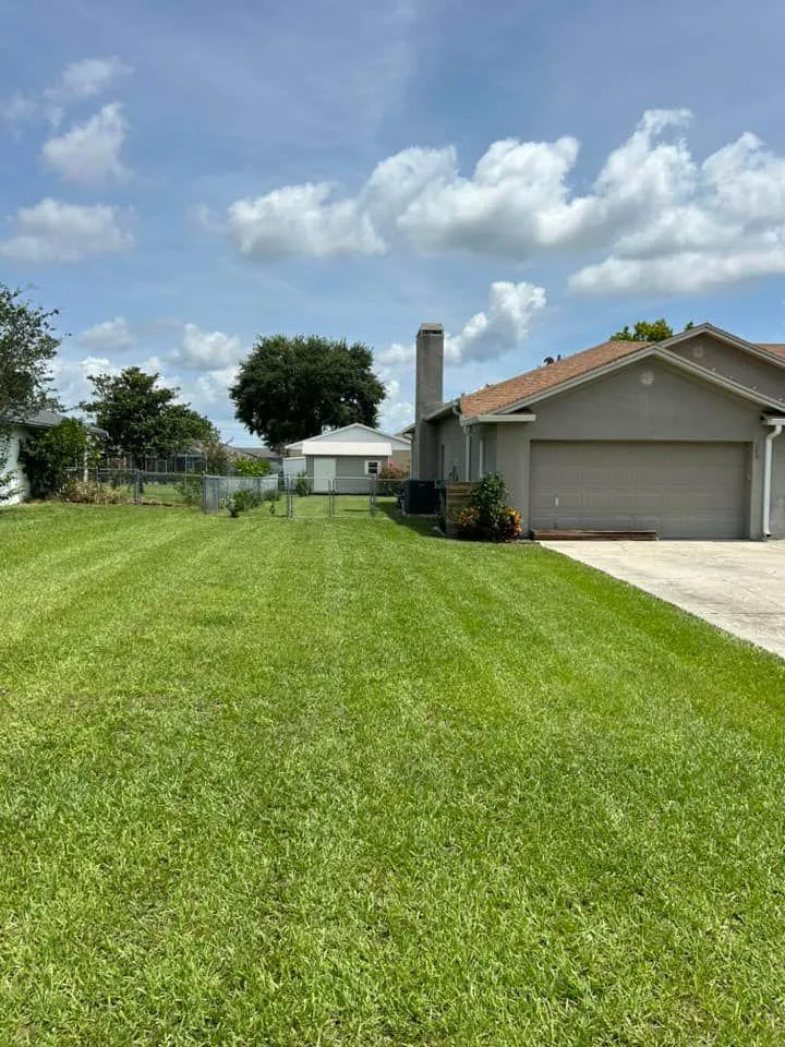 Fall and Spring Clean Up for Estrada All Pro Lawn Service in Auburndale, Florida