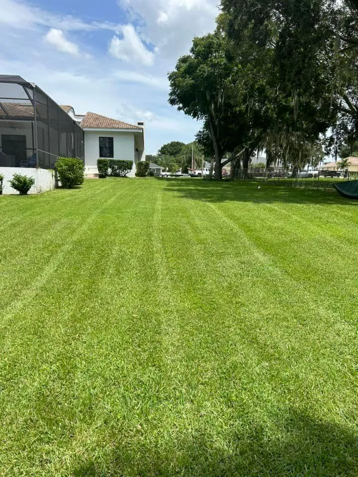 Fall and Spring Clean Up for Estrada All Pro Lawn Service in Auburndale, Florida