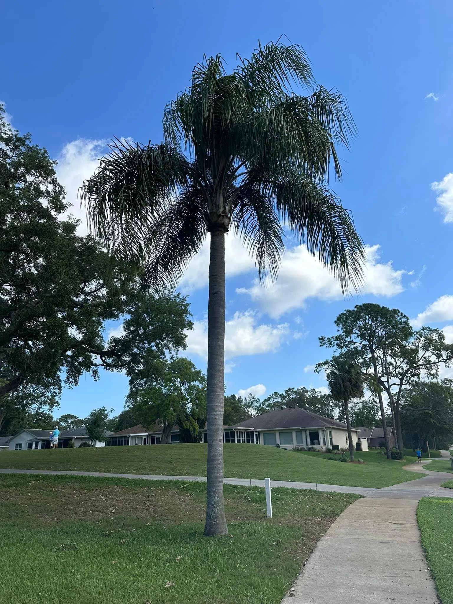 Fall and Spring Clean Up for Kramer & Son’s Property Maintenance in Hudson, FL