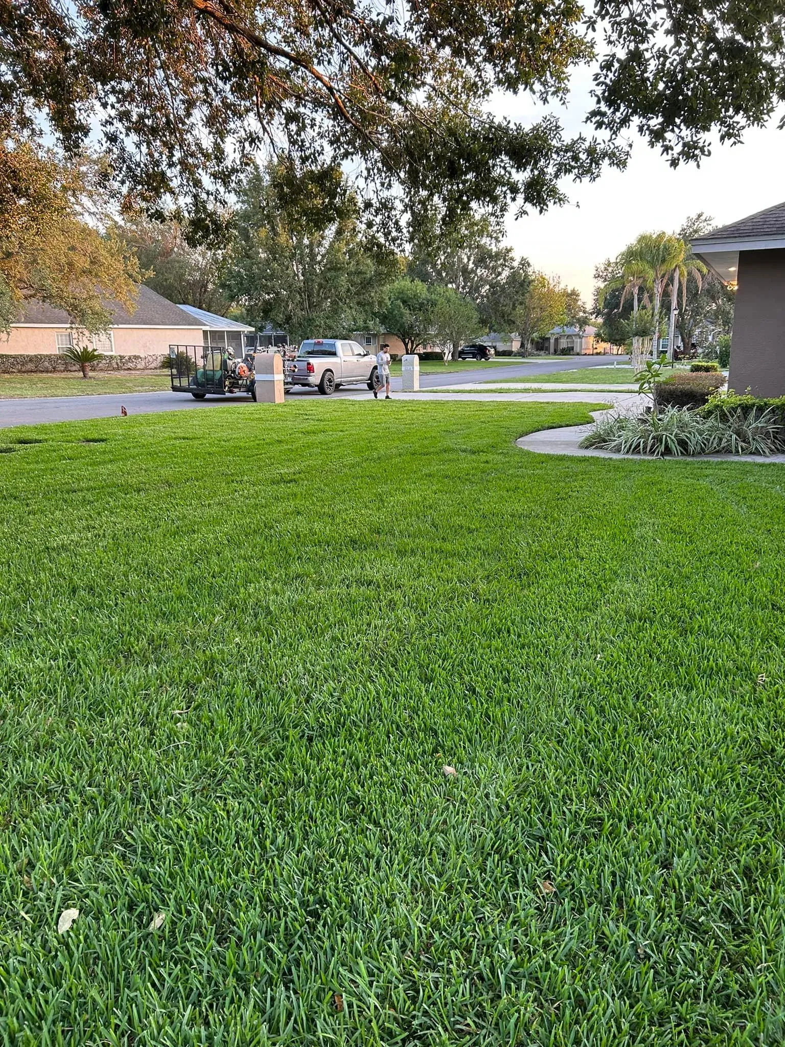 Fall and Spring Clean Up for Estrada All Pro Lawn Service in Auburndale, Florida