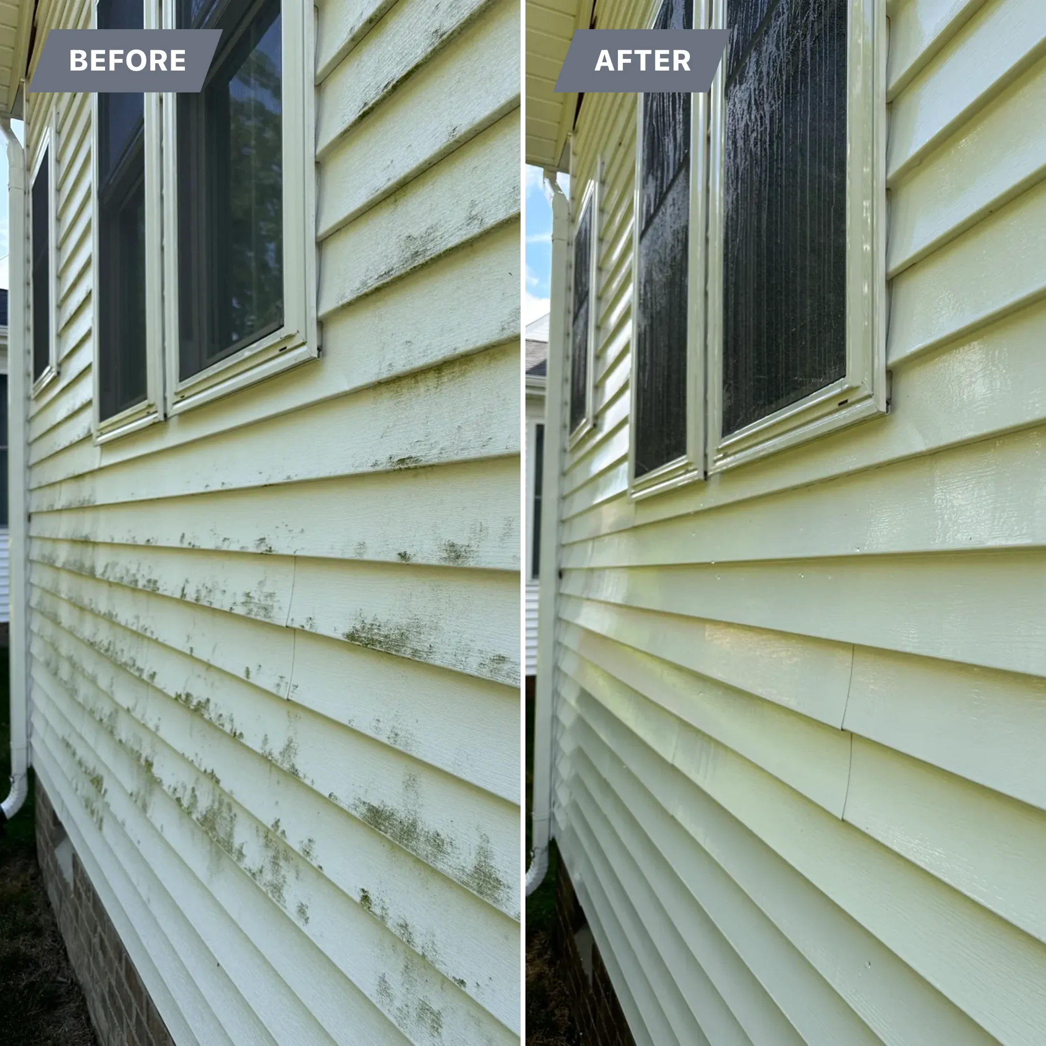 Home Soft Wash for LeafTide Solutions in Richmond, VA