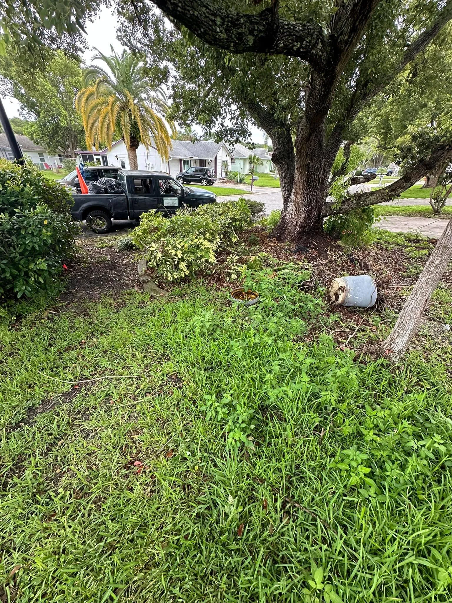 Fall and Spring Clean Up for Kramer & Son’s Property Maintenance in Hudson, FL