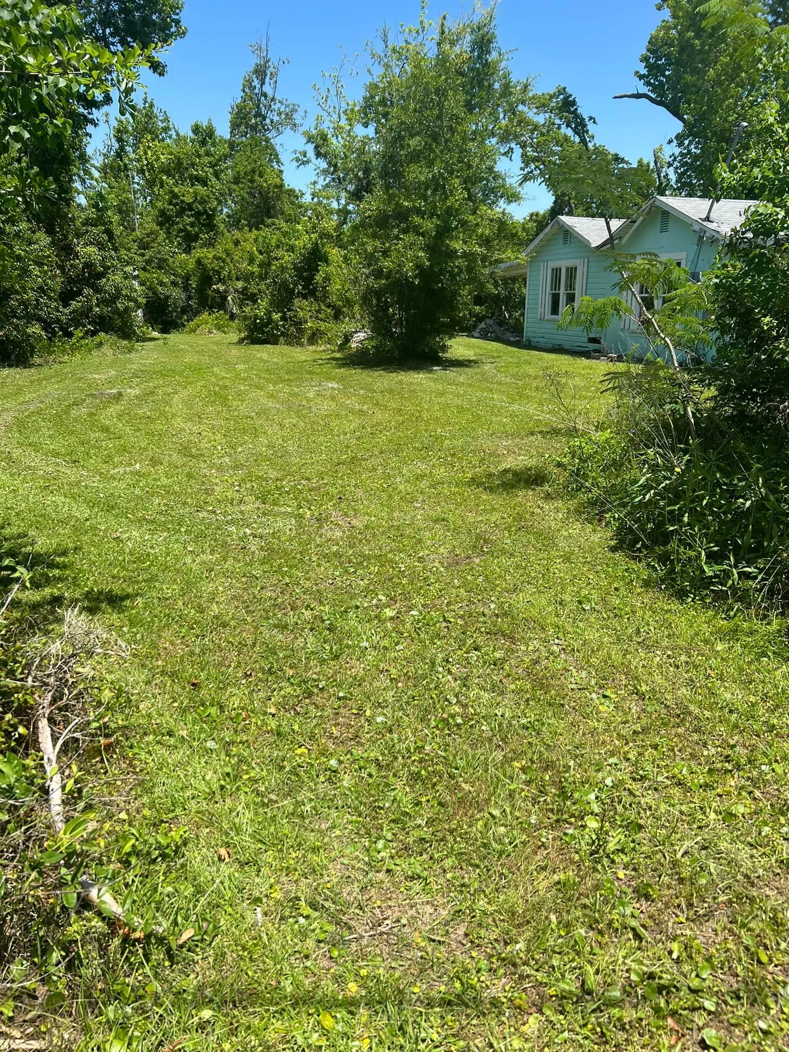 Mowing for Lawn Dog Mowing and Lawn Services in Panama City, FL