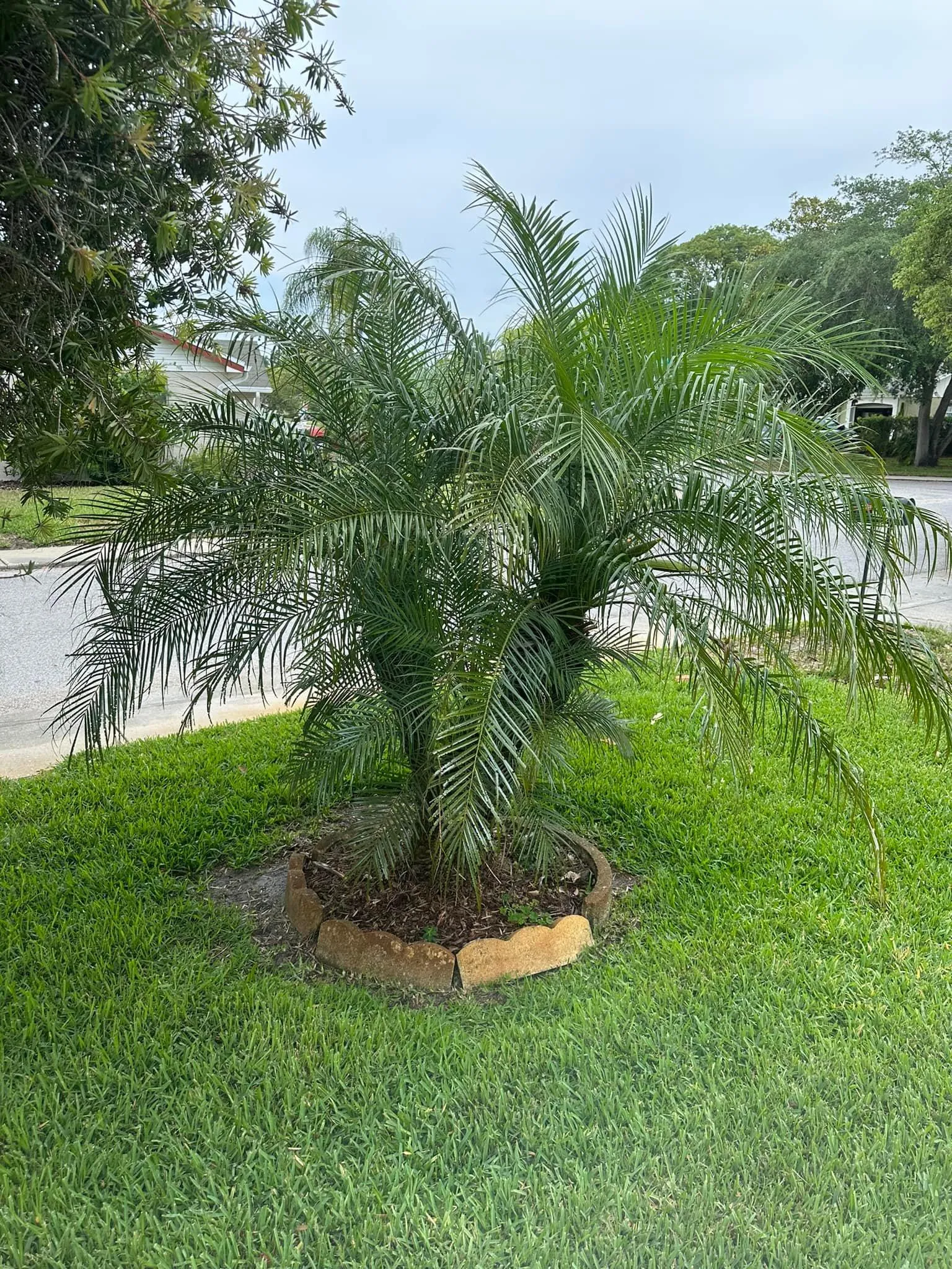 Fall and Spring Clean Up for Kramer & Son’s Property Maintenance in Hudson, FL