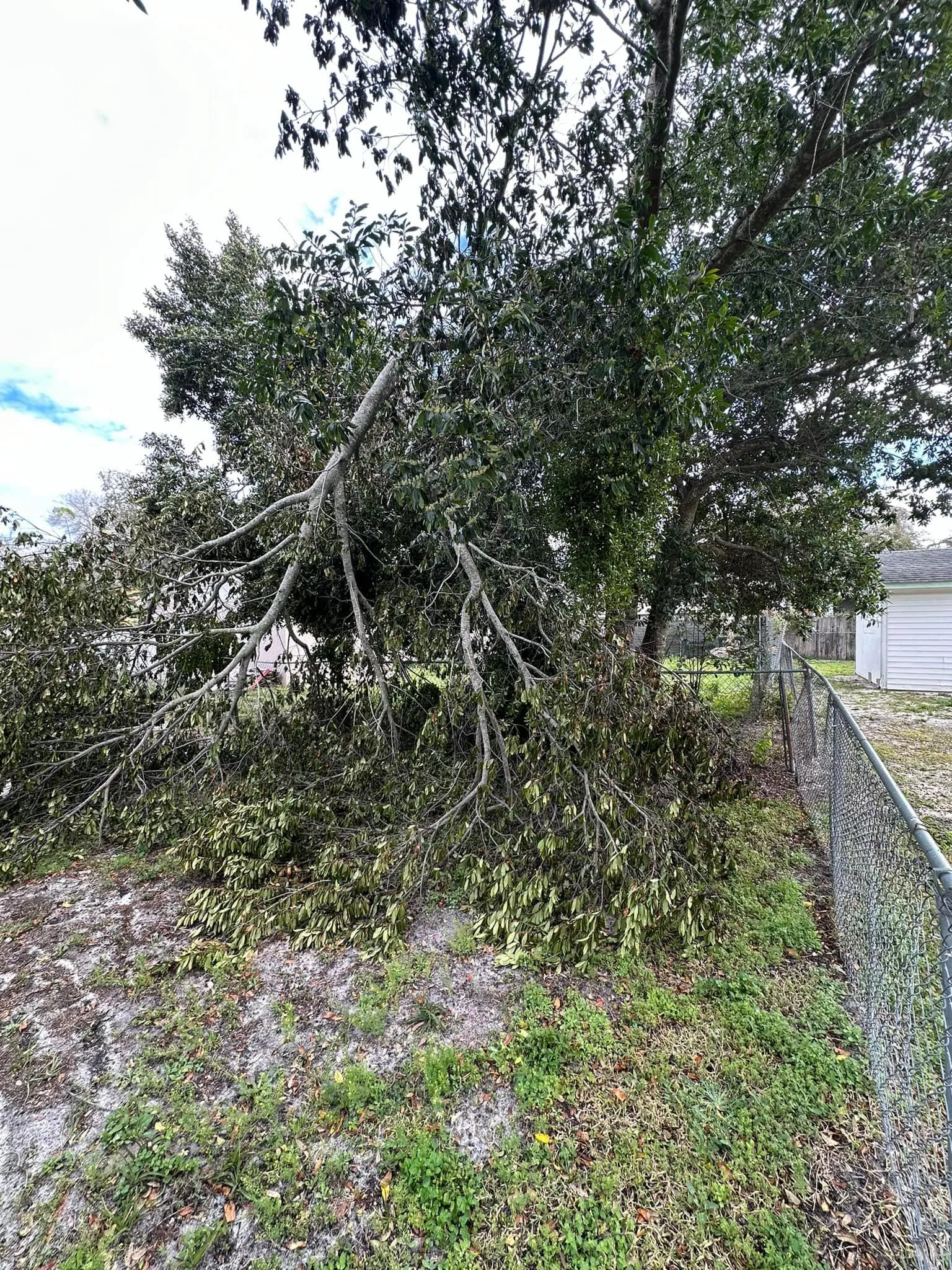 Fall and Spring Clean Up for Kramer & Son’s Property Maintenance in Hudson, FL