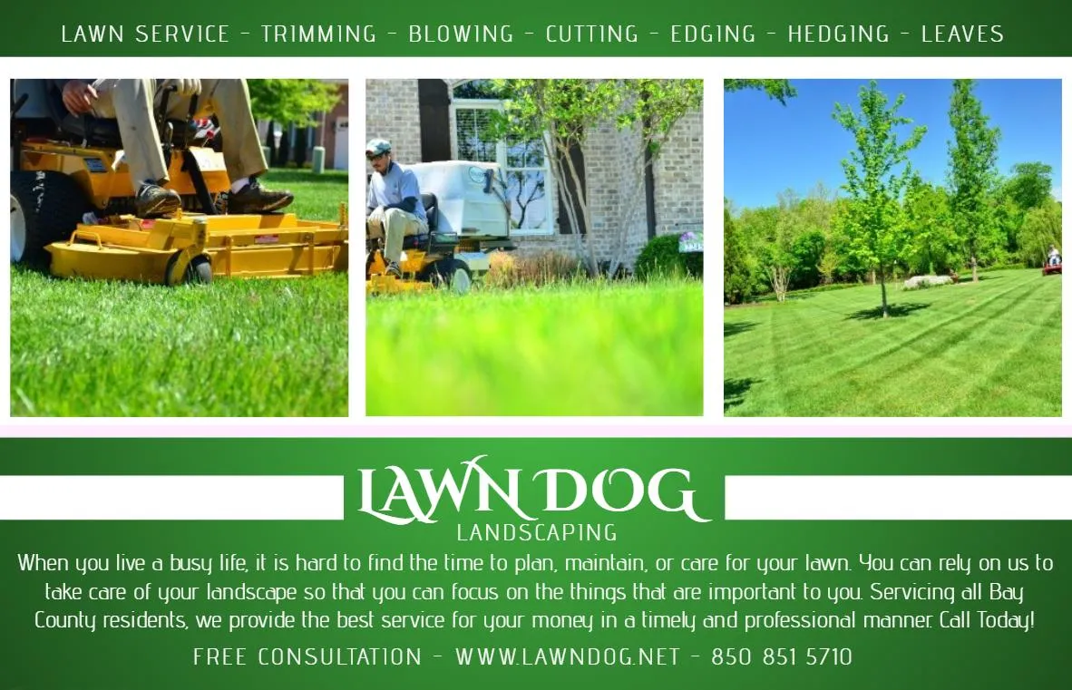 Mowing for Lawn Dog Mowing and Lawn Services in Panama City, FL