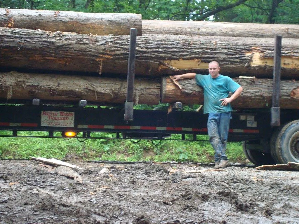 Logging for Bennett Logging in Gosport, Indiana