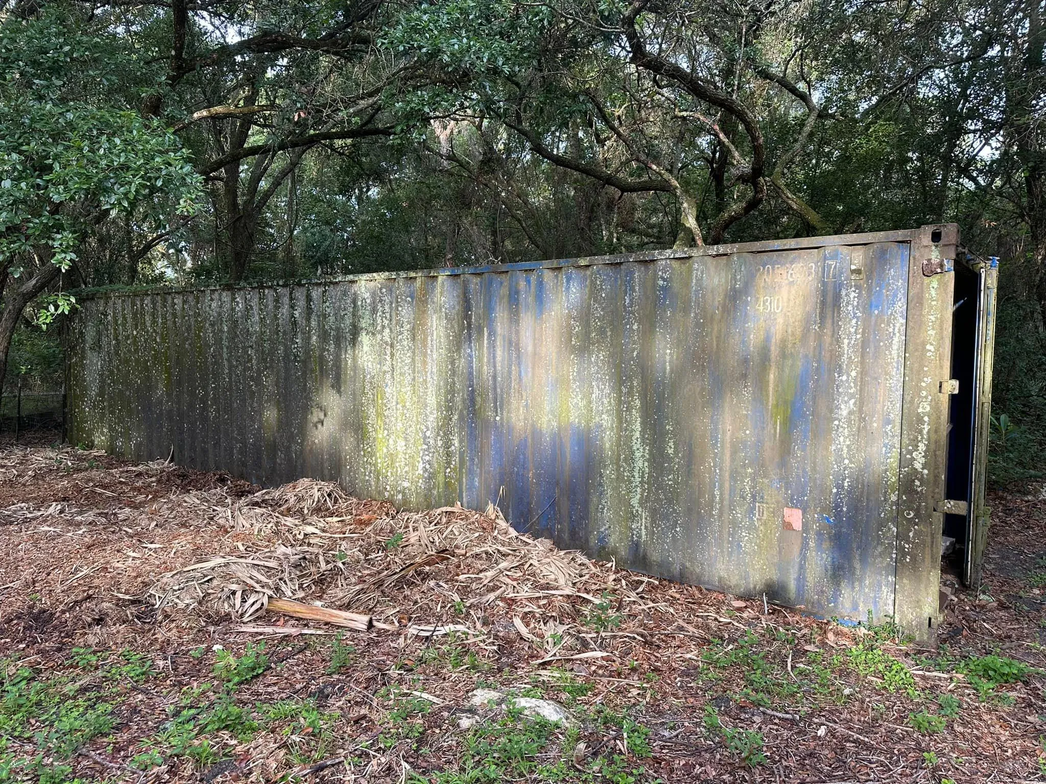 Fall and Spring Clean Up for Kramer & Son’s Property Maintenance in Hudson, FL