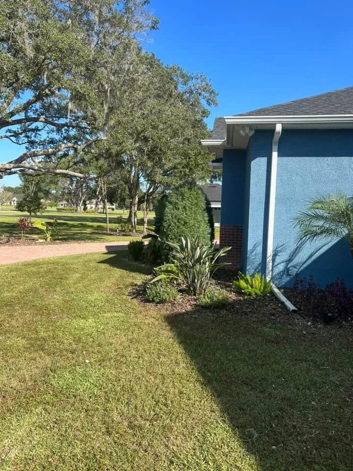 Fall and Spring Clean Up for Estrada All Pro Lawn Service in Auburndale, Florida