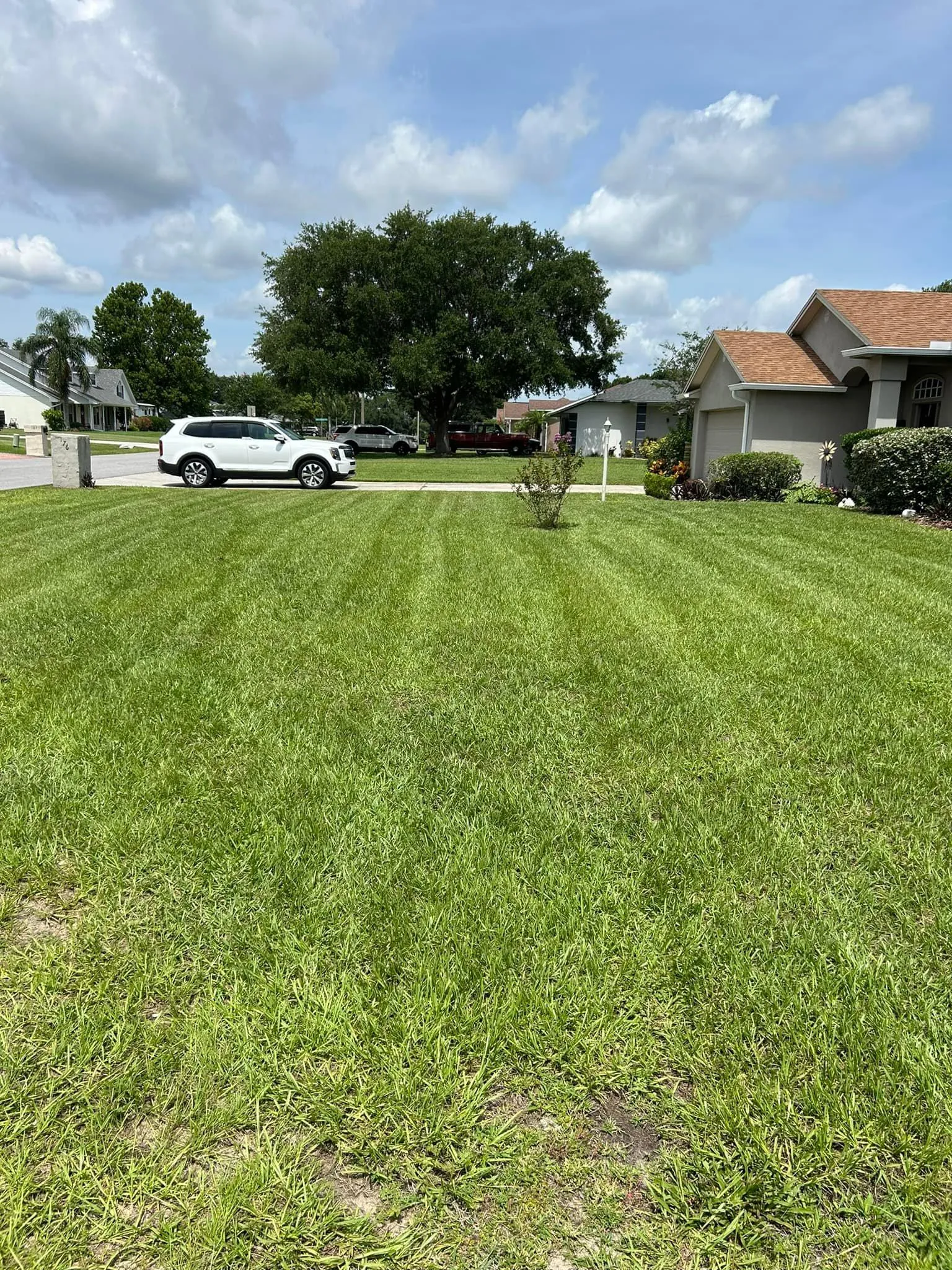 Fall and Spring Clean Up for Estrada All Pro Lawn Service in Auburndale, Florida