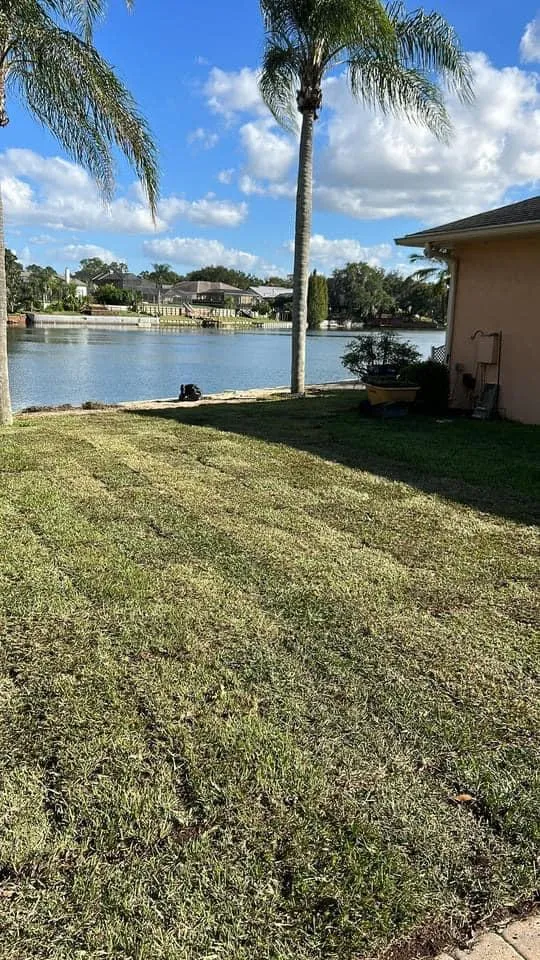 Fall and Spring Clean Up for Estrada All Pro Lawn Service in Auburndale, Florida