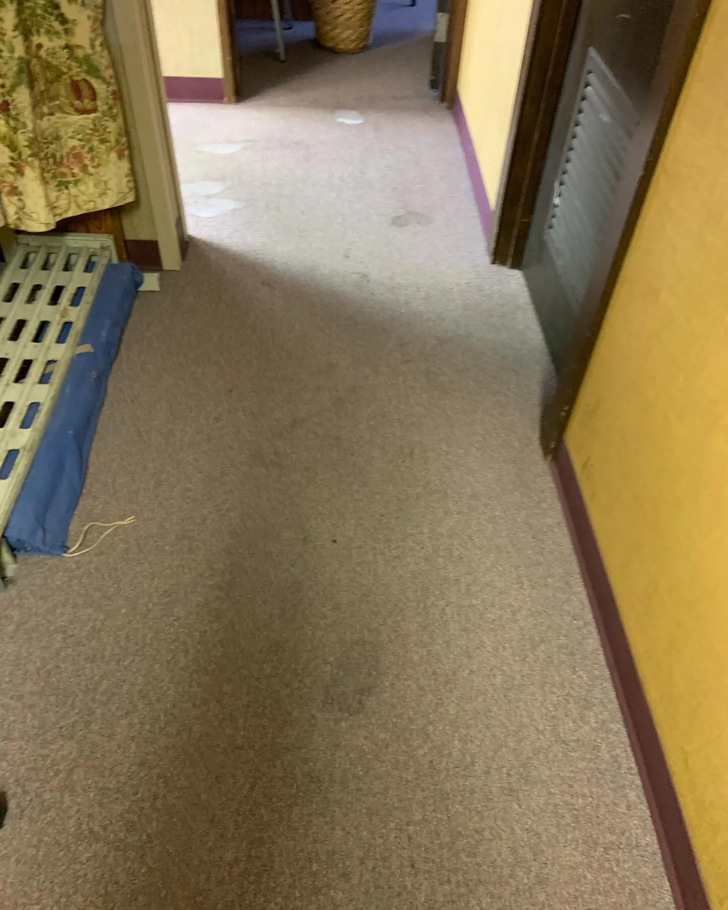 Carpet Cleaning for Randy’s Janitorial in Vallejo, CA