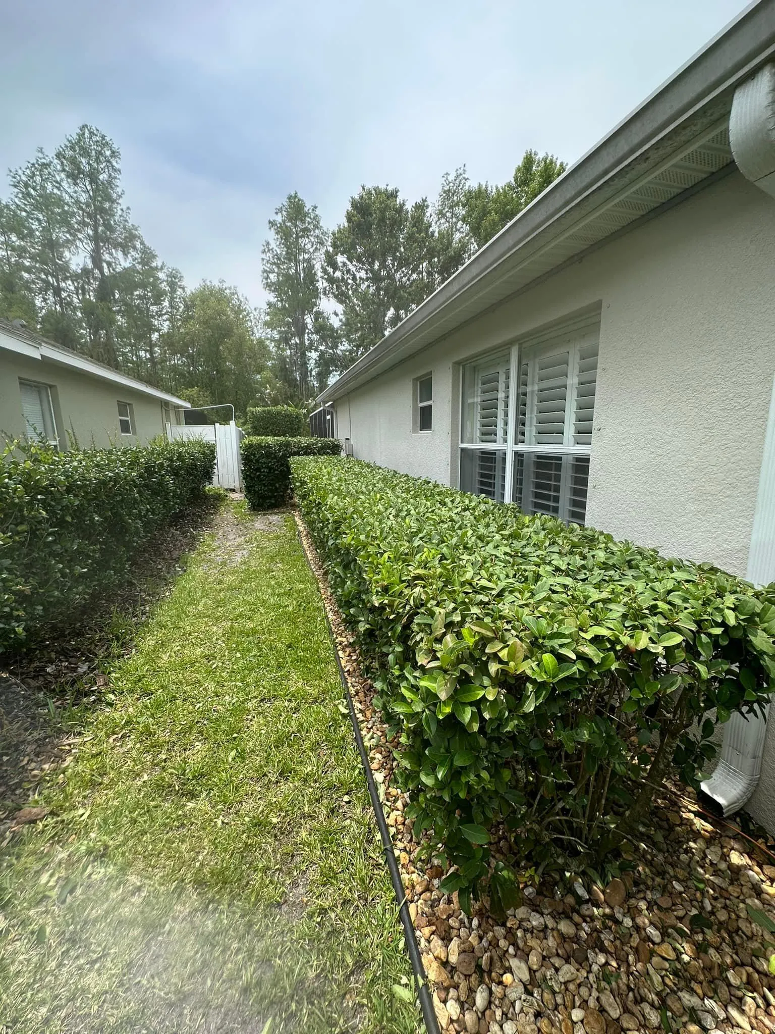 Fall and Spring Clean Up for Kramer & Son’s Property Maintenance in Hudson, FL