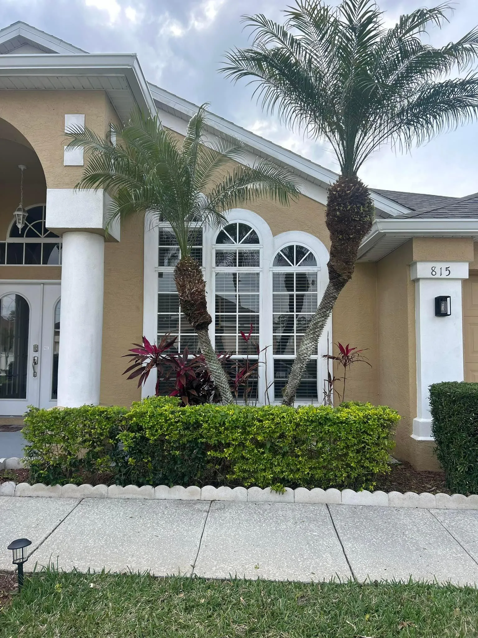 Fall and Spring Clean Up for Estrada All Pro Lawn Service in Auburndale, Florida