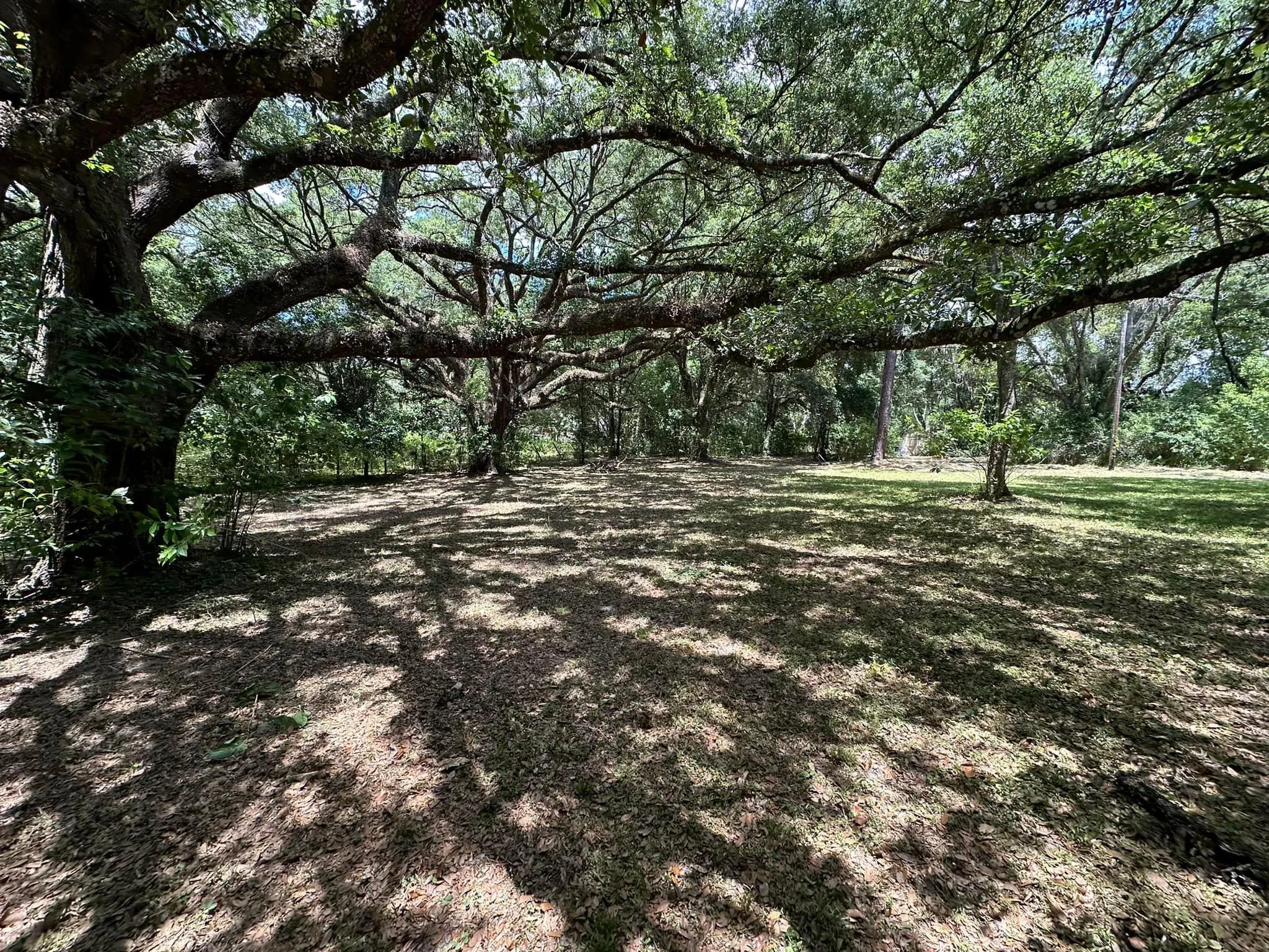 Fall and Spring Clean Up for Kramer & Son’s Property Maintenance in Hudson, FL