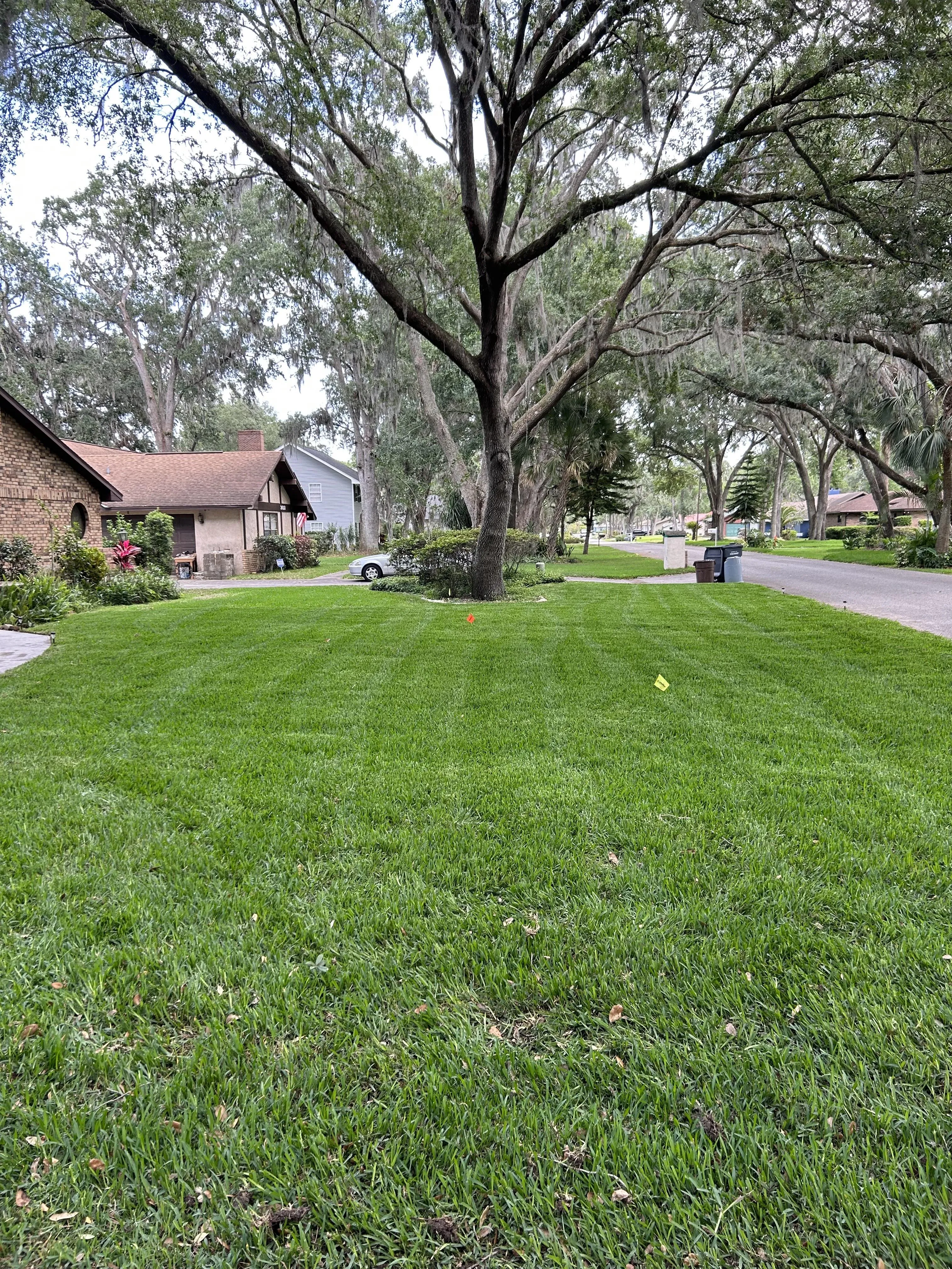 Fall and Spring Clean Up for Estrada All Pro Lawn Service in Auburndale, Florida