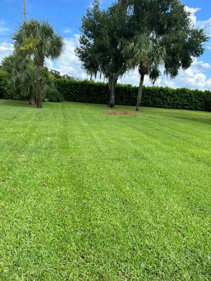 Fall and Spring Clean Up for Estrada All Pro Lawn Service in Auburndale, Florida