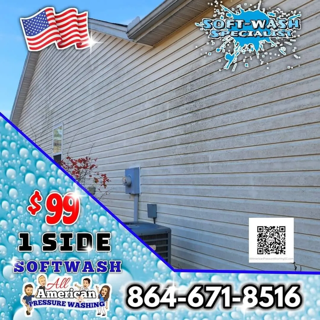 Pressure Washing & Soft Washing in Upstate, SC