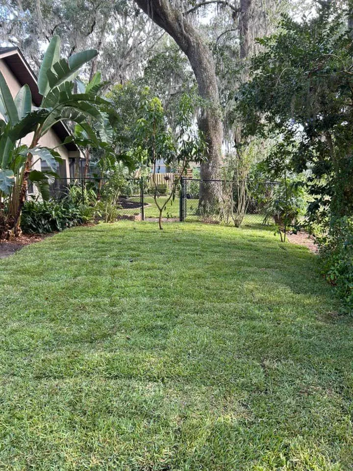 Fall and Spring Clean Up for Estrada All Pro Lawn Service in Auburndale, Florida