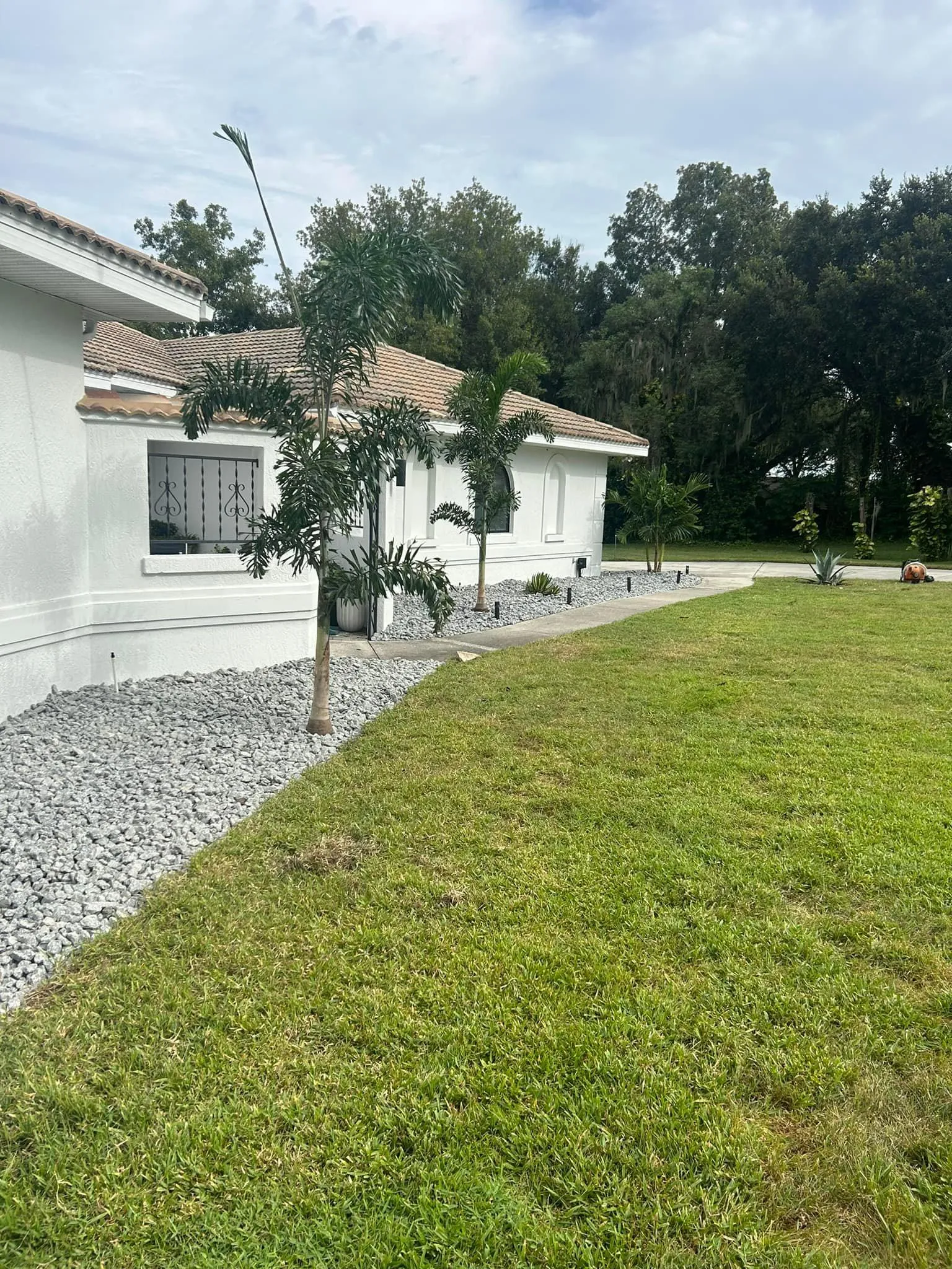 Fall and Spring Clean Up for Estrada All Pro Lawn Service in Auburndale, Florida