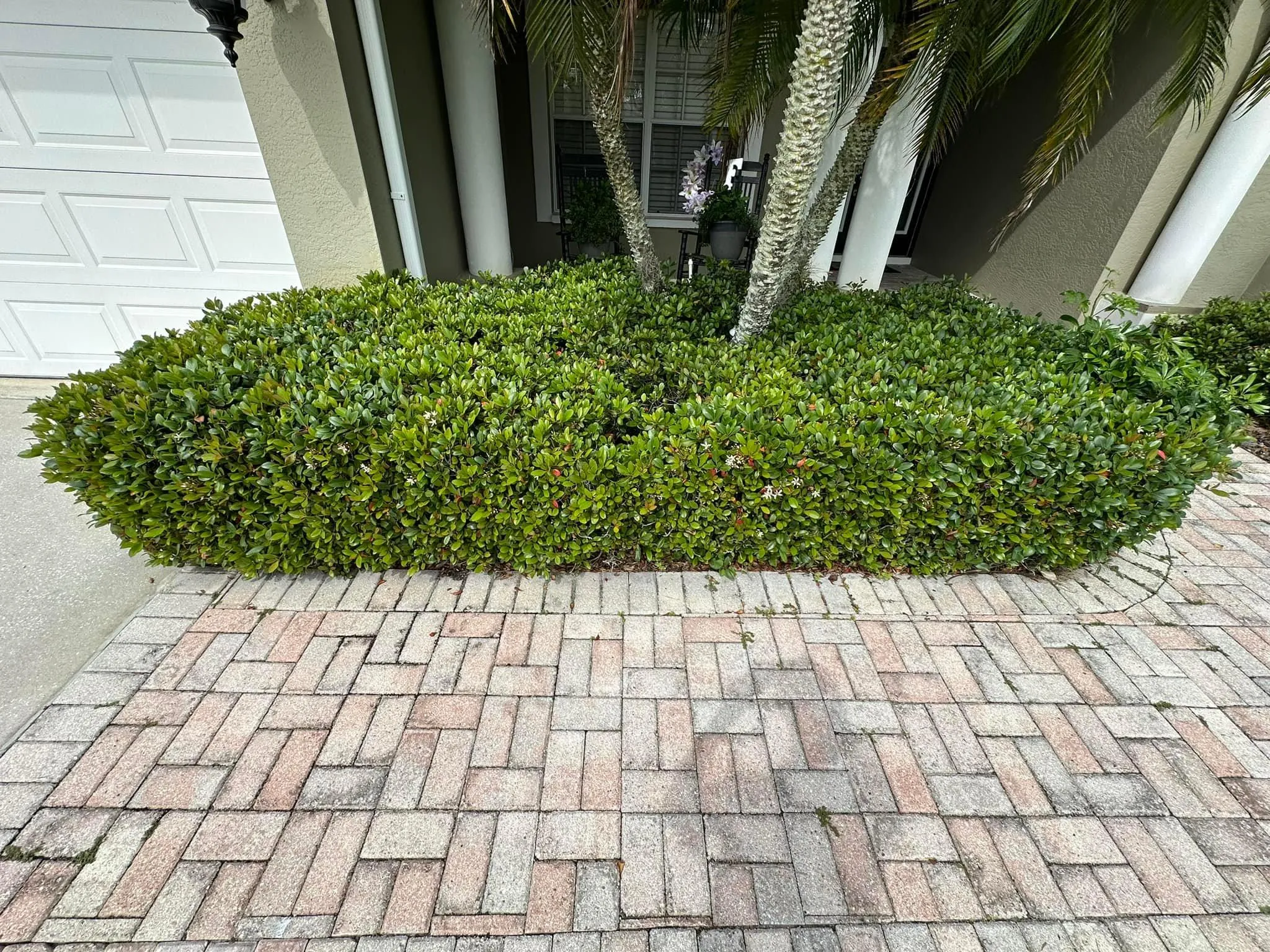 Fall and Spring Clean Up for Kramer & Son’s Property Maintenance in Hudson, FL