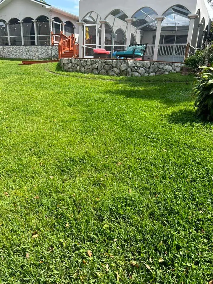 Fall and Spring Clean Up for Estrada All Pro Lawn Service in Auburndale, Florida