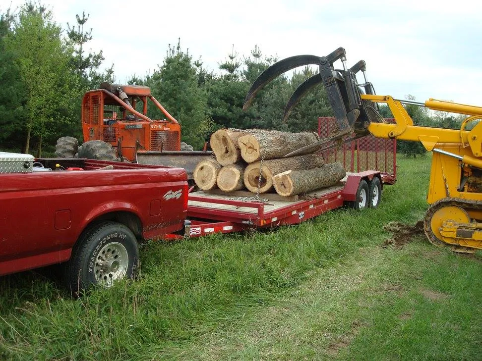 Logging for Bennett Logging in Gosport, Indiana