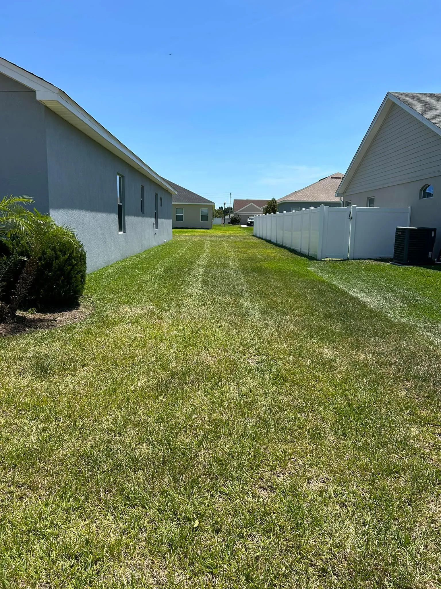 Fall and Spring Clean Up for Estrada All Pro Lawn Service in Auburndale, Florida