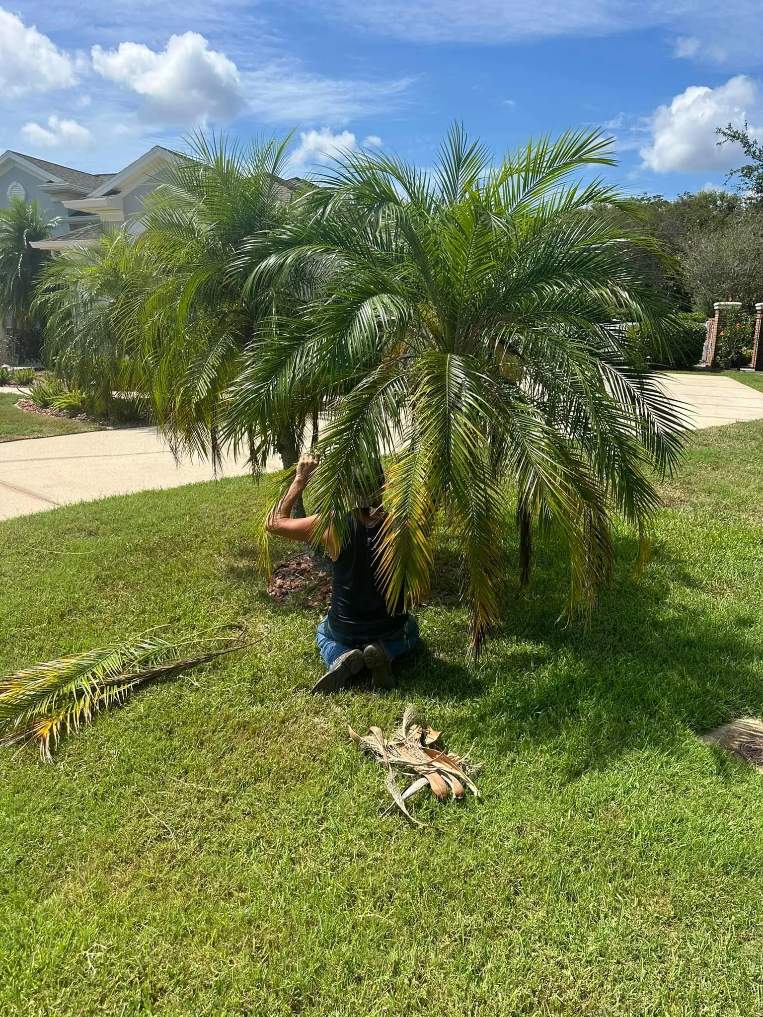 Fall and Spring Clean Up for Kramer & Son’s Property Maintenance in Hudson, FL