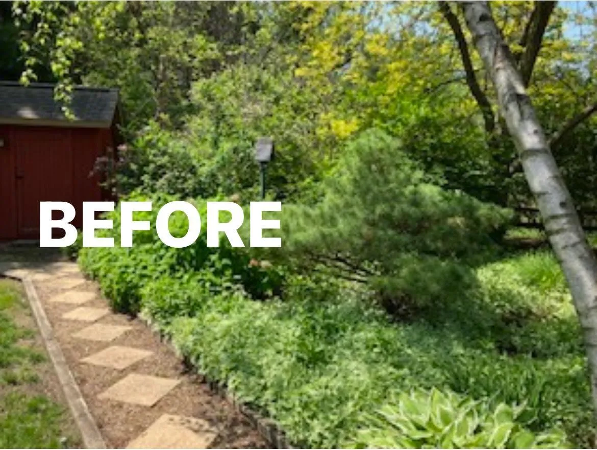 Grass, Sod, and Hydroseed Installations for Second Nature Landscaping in Lake City, Minnesota