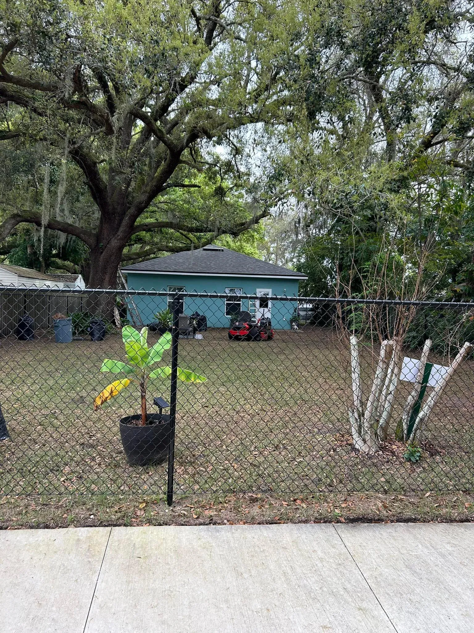 Fall and Spring Clean Up for Estrada All Pro Lawn Service in Auburndale, Florida