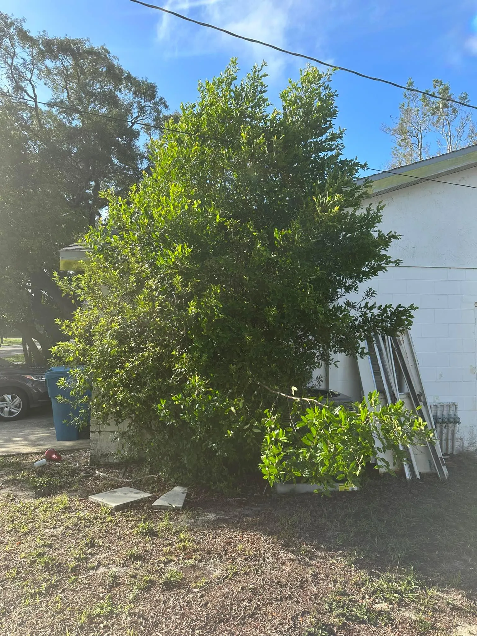 Fall and Spring Clean Up for Kramer & Son’s Property Maintenance in Hudson, FL