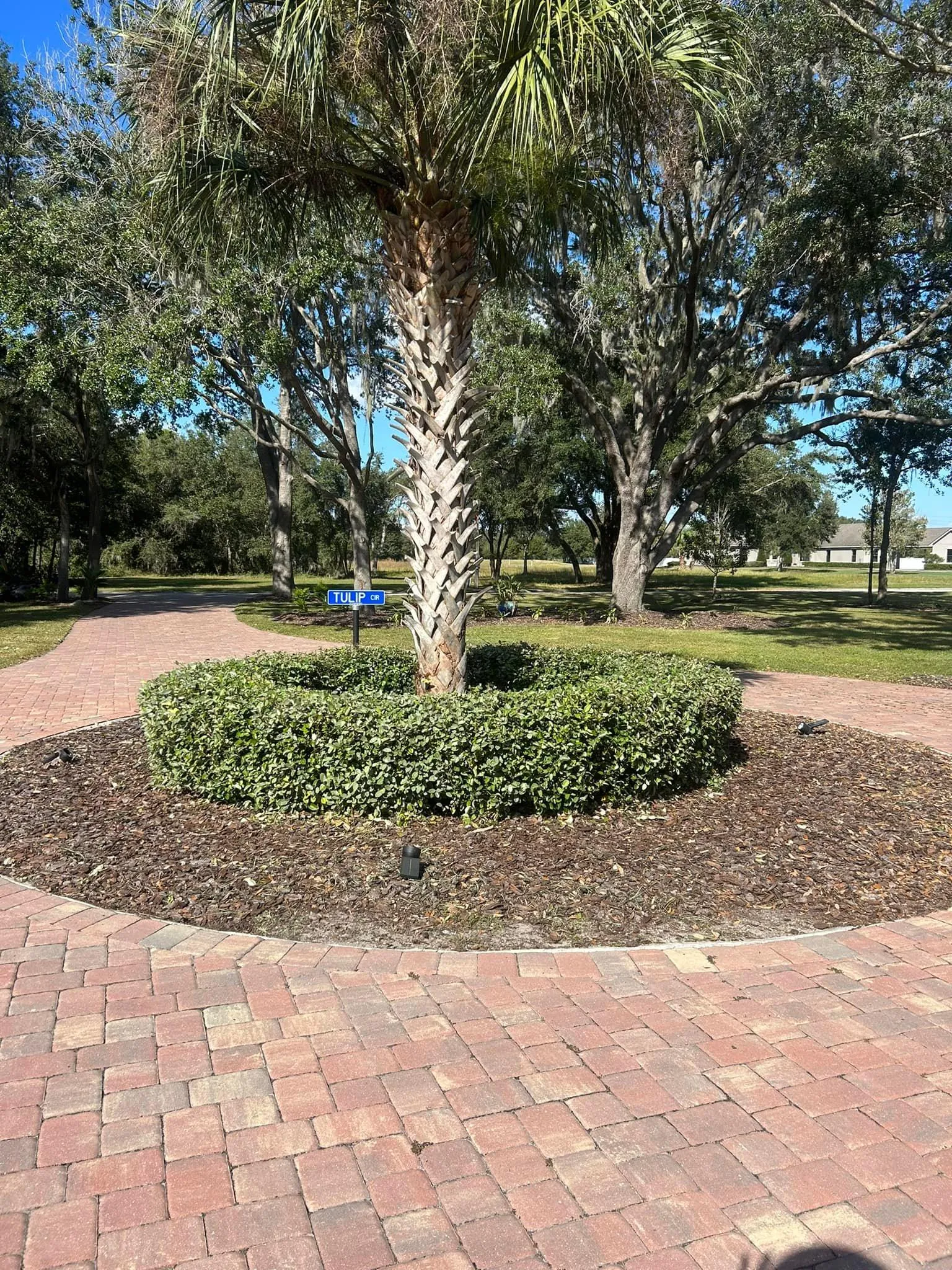 Fall and Spring Clean Up for Estrada All Pro Lawn Service in Auburndale, Florida