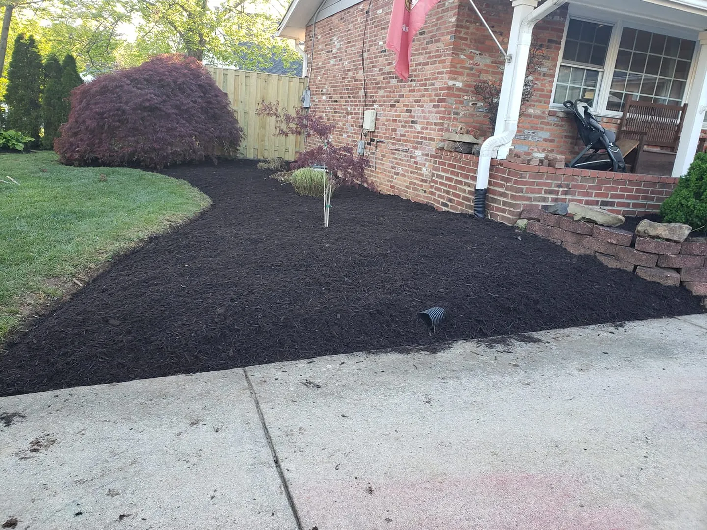 Tree Removal for Mario's Tree Service in Richmond, VA